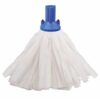 Blue Cloth Mop